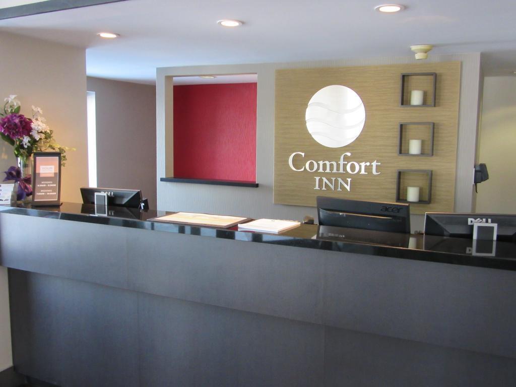 Comfort Inn Cobourg Exterior foto